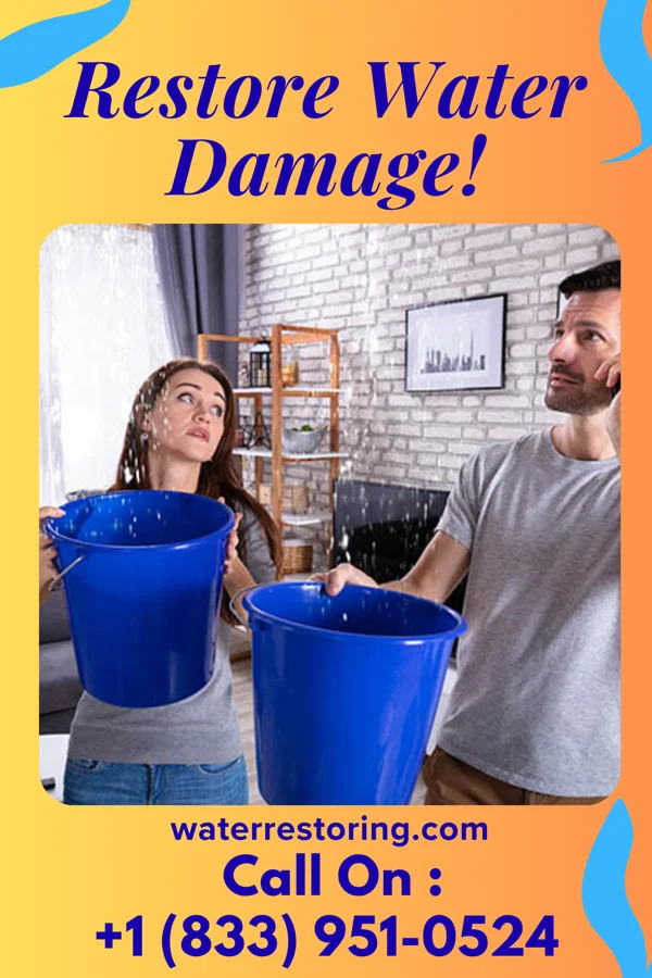 water restoration Galaxy Water Repair & Associates South Park View