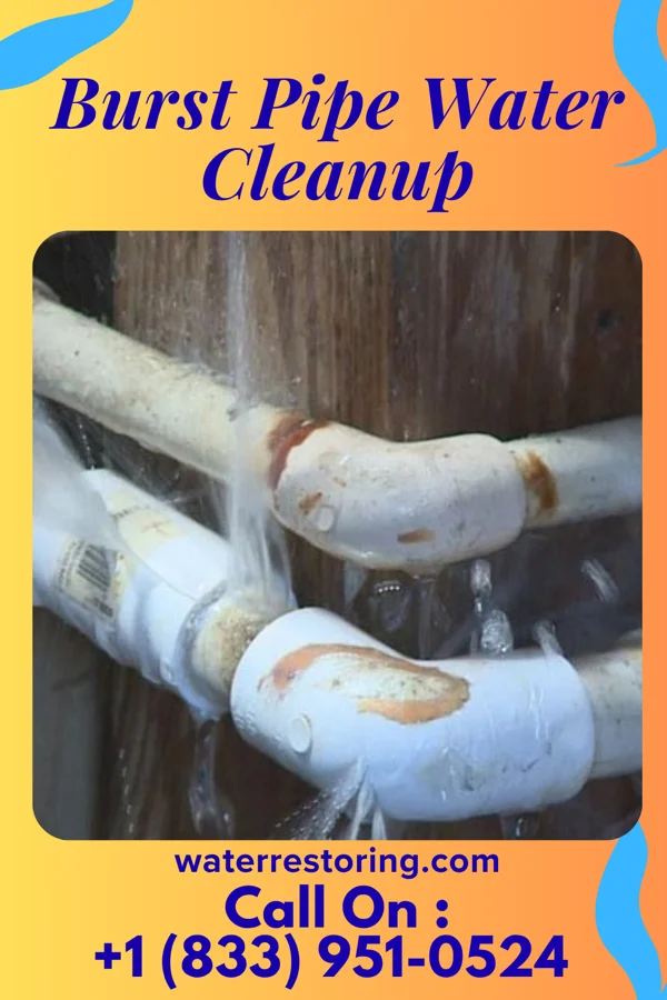 Burst Pipe Water Cleanup in South Park View, KY