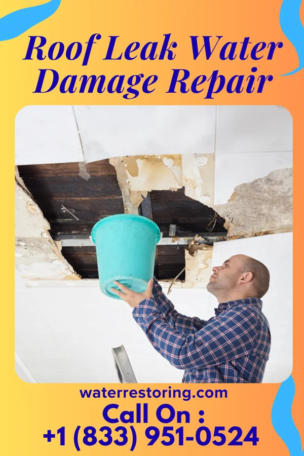 Roof Leak Water Damage Repair in South Park View, KY